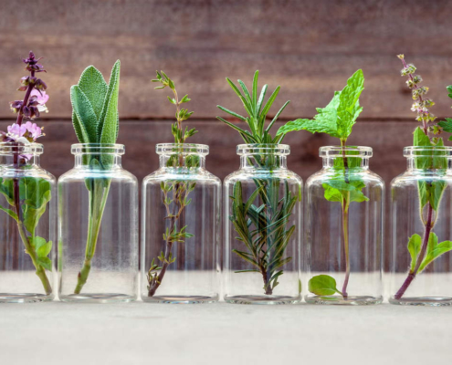 Best Essential Oils for Skin 12 - Best Essential Oils for Skin