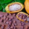 Cocoa beans 1