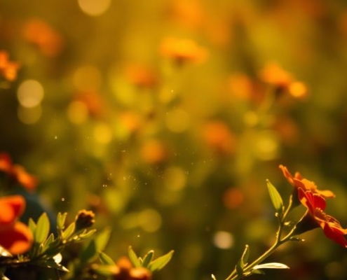 Effects of Scents on Emotions 13 - Effects of Scents on Emotions.
