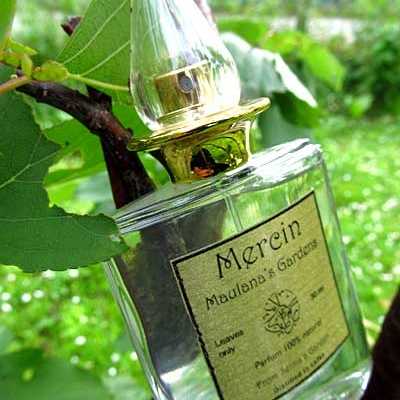 Distilling an island: Myrtle 26 - IMG 0195