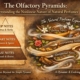 Olfactory Pyramids: Understanding the Nonlinear Nature of Natural Perfumes 10 - Olfactory Pyramids: Understanding the Nonlinear Nature of Natural Perfumes