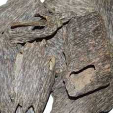 agarwood-thailand-trat