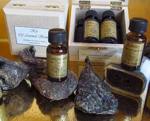 Invitation from AbdesSalaam Attar 26 - animal scents perfume