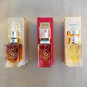 discovery set arabian series discovery set arabian series