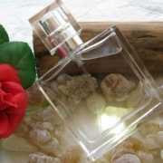 holy water acqua santa1 holy water acqua santa1