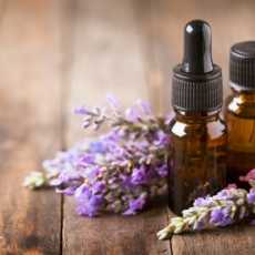 Lavender 17 - lavender-essential-oil-bottles
