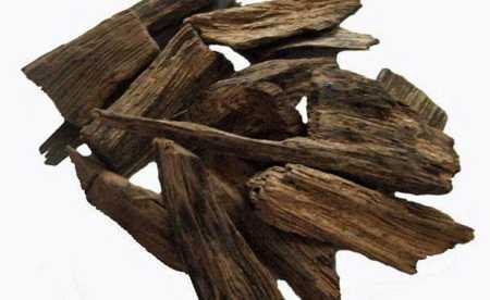 oud agarwood