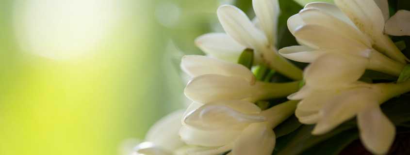 Scents and Hypertension